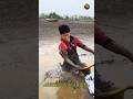 Bare-Handed Battle 🤯 Deep Mud Fishing | Master of the Mud The Ultimate Catch