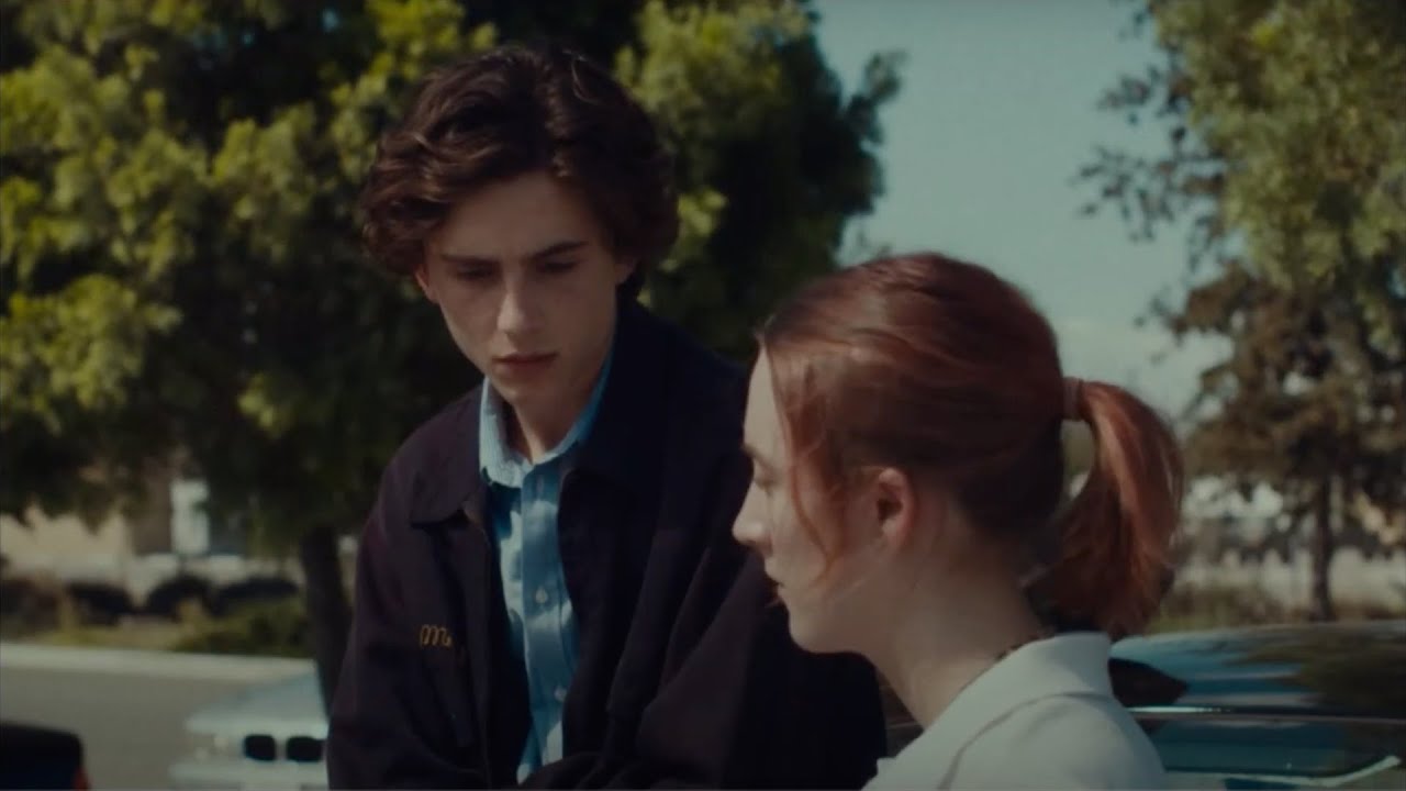 Timothée Chalamet is a conspiracy theorist in Lady Bird