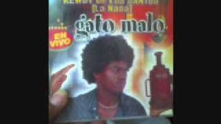 Kewdy  de los Santos_ el gato malo 2004