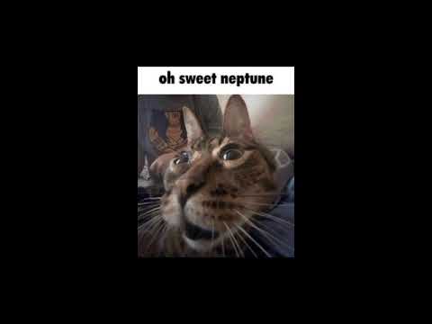 Chururira Chururira Daddadda (English cover) - Nightcore/Sped up