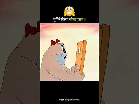 मुर्गे ने किया सबका सोना हराम ! #shortsvideo #funny #trending
