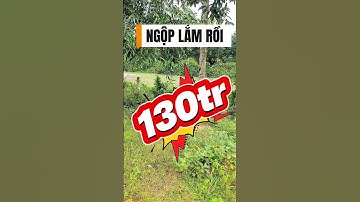 Đất Dầu Tiếng I Chỉ có 130tr/m view sông Sài Gòn cực đẹp #datdautieng