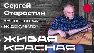 Сергей Старостин «Надоела жизнь, надокучила»