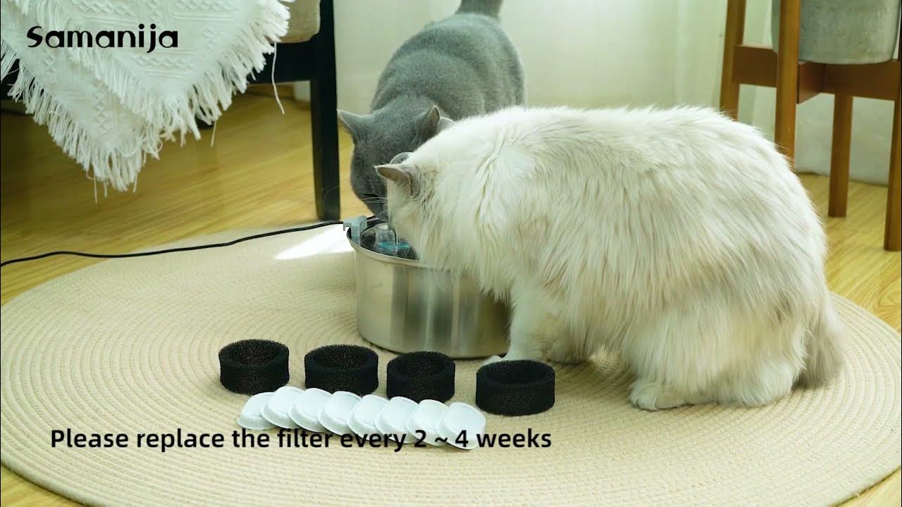 Samanija branded ,Tomxcute Cat Water Fountain Filter YouTube