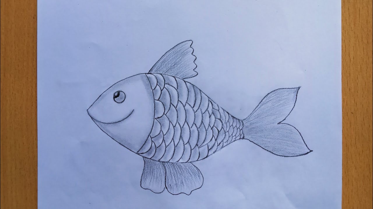 Fish Drawing Stock Photos and Images  123RF