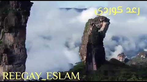 رعد كوردى سورة الشمس