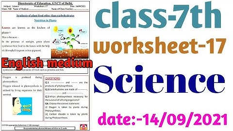 science worksheet 17 class 7 (14/9/21) English medium worksheet 17 science class 7 /class 7 science