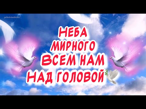 Красивое поздравление С 23 февраля🕊️ Стихи на 23 февраля от души для настоящих мужчин