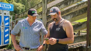 Te Pari x FarmIQ Integration featuring Kiwi Farmer