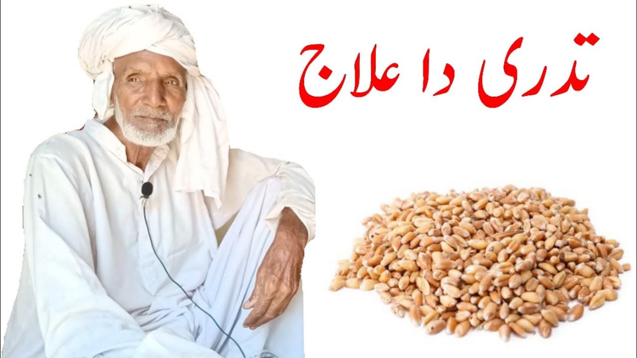 dadri ka desi ilaj || تدری دا علاج