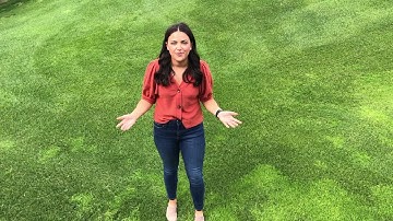 Video Submission-Digital Correspondent