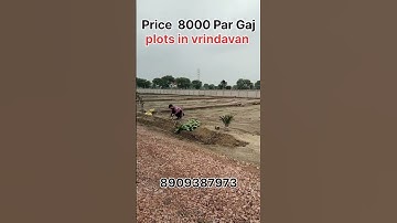 #panigaon#plots #plotinvrindavan #property #vrindavandham #premanand_ji_maharaj #premmandir #iscon