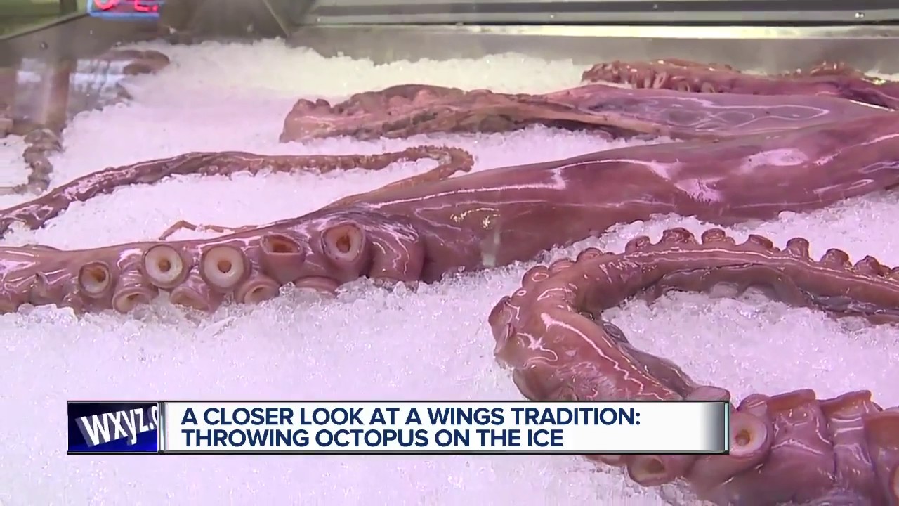 Giant Octopus Thrown On Ice At Detroit Red Wings Game