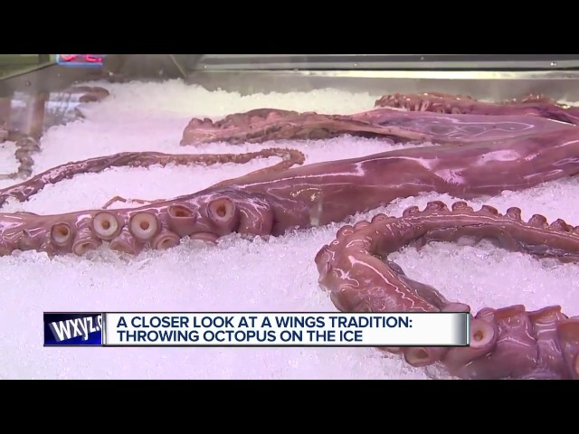 A Detroit fan threw an octopus on the ice in Boston at the worst possible  time