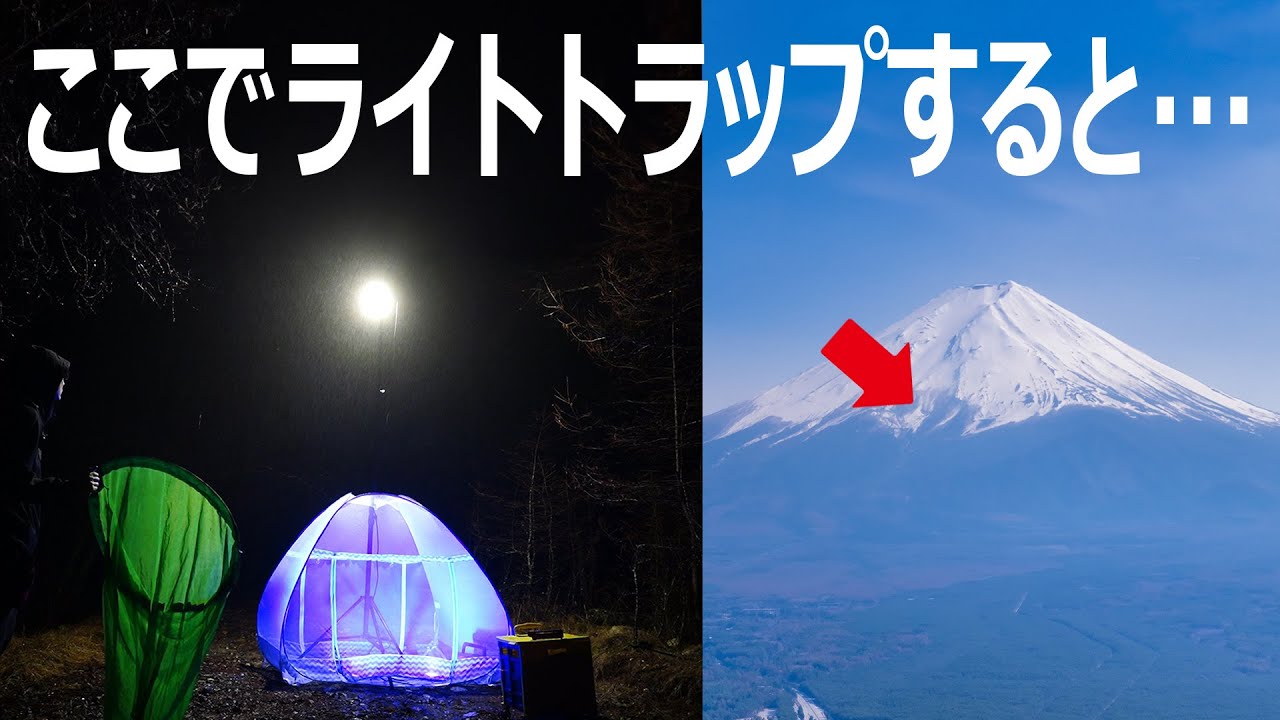 ここでライトトラップすると…