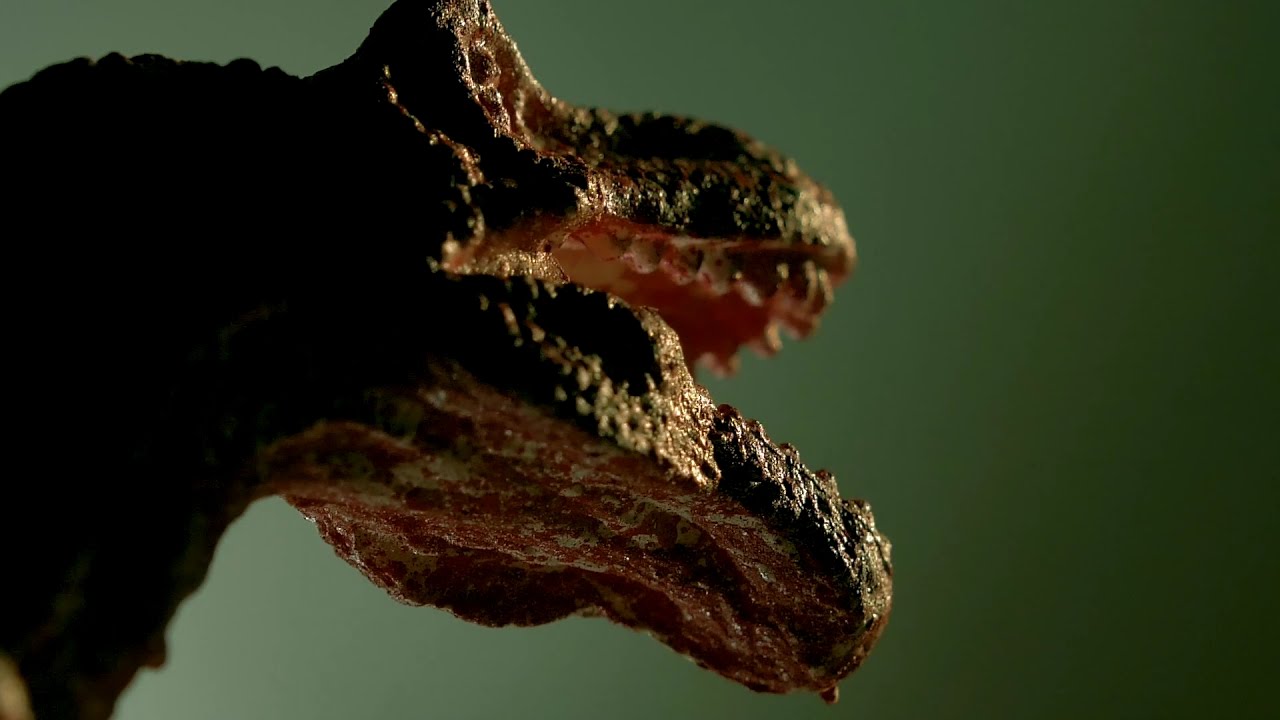Watch MONA SAN - T-REX (VISUALIZER) on YouTube Watch MONA SAN - T-REX (VISUALIZER) on YouTube