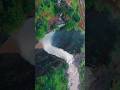 apla maharastra #earth #nature #tulsi #shorts #trending #travel #life
