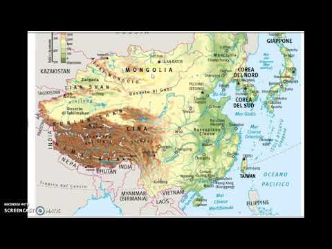 Video: Reumatologia In Asia Orientale