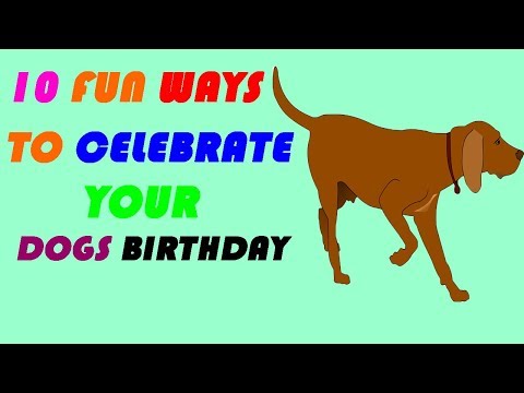 Video: 10 skvělých způsobů, jak oslavit narozeniny vašeho psa