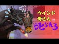 ディープインパクトの母ウインドインハーヘアがお怒りです