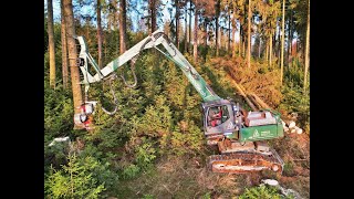 🌲*ONboard* Königstiger Kern HE93.1 • Woodex AG • big logging • biggest HarvesterAction • Logmax 🌲