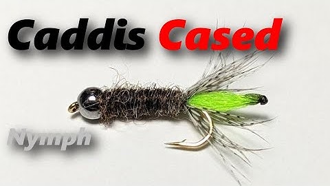 Fly tying a Head Peeping Caddis Nymph Cased