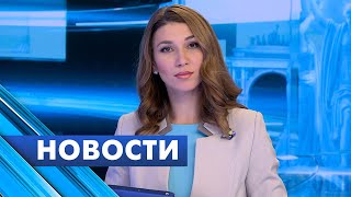 Главные новости Петербурга / 23 ноября