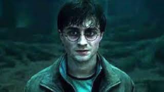 harry potter and the deathly hallows chapter 36 the flaw in the plan audiobook