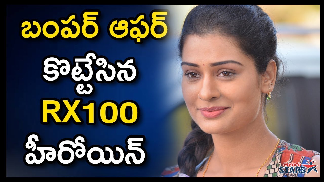 Bumper Offer To RX 100 Heroine Payal Rajput Tollywood Celebrity bumper-offer-to-rx-100-heroine-payal-rajput-tollywood-celebrity