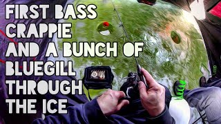 First Bass, Crappie and a Bunch of Bluegill through the Ice by Fishing POV 528 views 6 years ago 12 minutes, 38 seconds