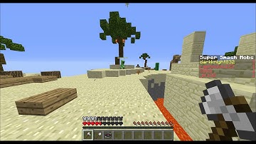 Minecraft mineplex.com hackers