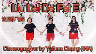 Download lagu LIU LEI DE FEI E / 流泪的飞蛾 / Remix / Dance & Tutorial / Douyin