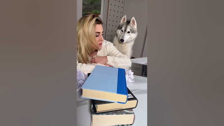 Il mio CANE Yuko ha SCRITTO un LIBRO📕❤️🐺 #cane #cani #dogs #husky