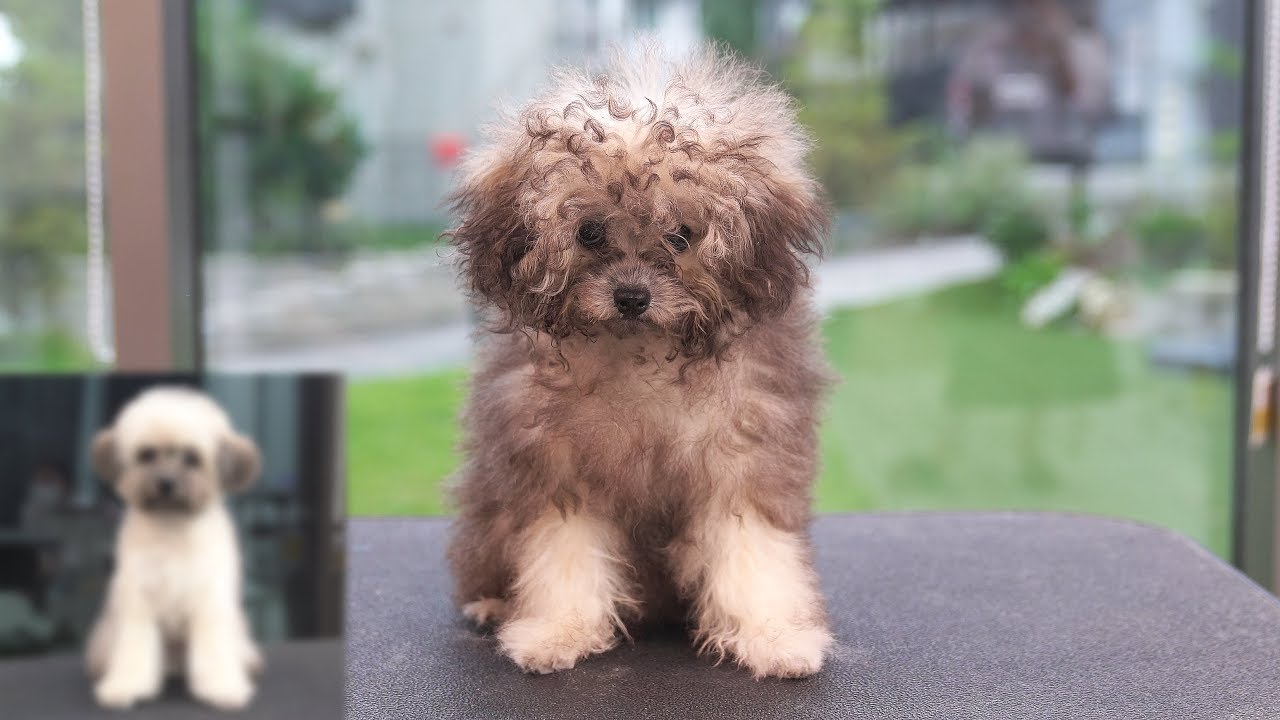 Сними свои белые носки.