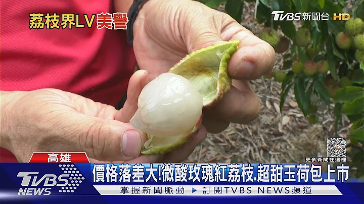 吃荔枝货比三家!　微酸玫瑰红荔枝 超甜玉荷包上市｜TVBS新闻 @TVBSNEWS01 - 天天要闻
