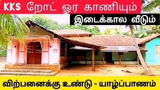 🏠 உடனடி விற்பனைக்கு உண்டு | யாழ்ப்பாணம் - KKS தெல்லிப்பழை #trending #viral #tamilvlog #srilanka