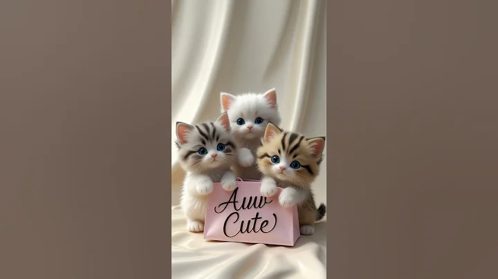 Watch the video about Adorable and 😡 #cat #cute #prettycat #cutecat # #kitten #catlovers #catlove #funny