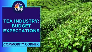 Indias Tea Industry Urges For Tea Promotion Policy In Interim Budget 2024 | CNBC TV18