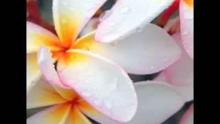 Dil Muqaddar Se Yaar Milta Hai.