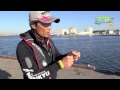 近場でお手軽！波止メジナin 城ヶ島