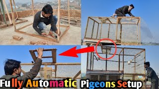 How To Make Racing Pigeons Setup Fully Automatic  | इस सेटअप पर अगर एक बार कबूतर बैठा तो आपका