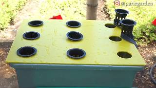 Tutorial Lengkap Hidroponik (Wick System) 9 Lubang untuk Pemula