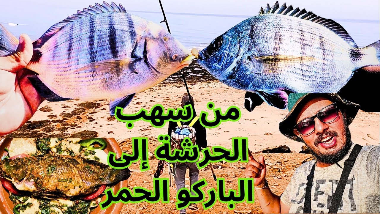 اليوم المثالي للصيد: من سهب الحرشة إلى الباركو الحمر