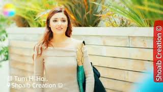 Download Tum Hi Ho | Aashiqui 2 | Murat And Hayat Version | India Love Song | Arijit Sing Video MP3 Tum Hi Ho | Aashiqui 2 | Murat And Hayat Version | India Love Song | Arijit Sing