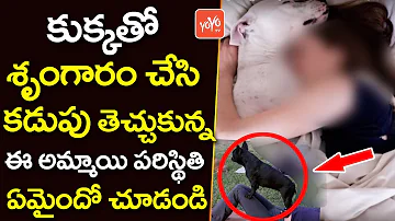 కుక్కతో శృంగారం చేసి కడుపు తెచ్చుకున్న... | Women Get Pregnant by Dog | Unbelievable Facts | YOYO TV