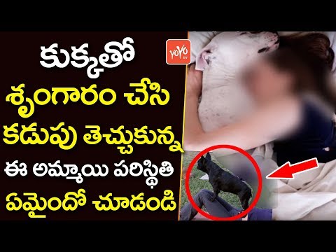 కుక్కతో శృంగారం చేసి కడుపు తెచ్చుకున్న... | Women Get Pregnant by Dog | Unbelievable Facts | YOYO TV