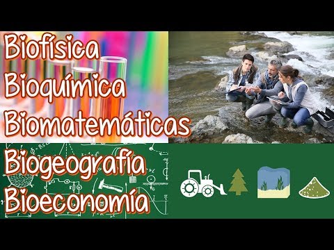 La interconexión de la biología con otras ciencias
