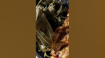 sambal terasi mangga kweni,daun singkong rebus lauk makan siang