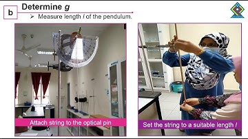 DP024 EXPERIMENT 1 SHM