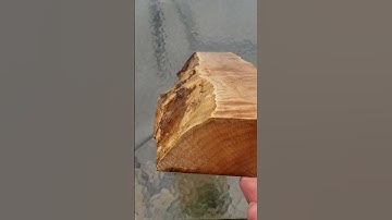 Curly maple, orcedar.com free shipping